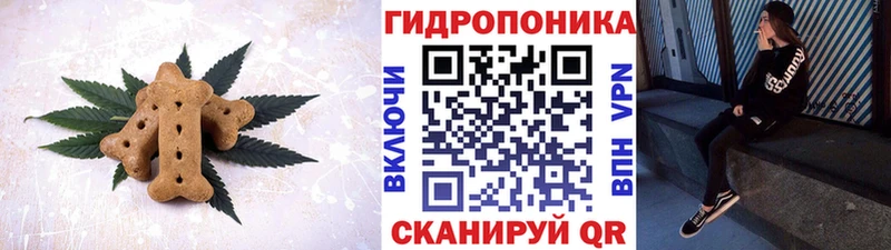 Canna-Cookies марихуана  купить наркотик  Микунь 