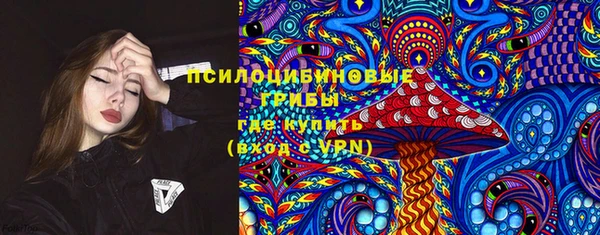 MDMA Новозыбков