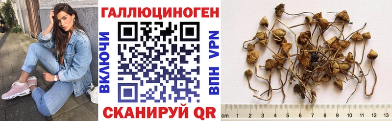 Псилоцибиновые грибы MAGIC MUSHROOMS  где продают наркотики  Микунь 